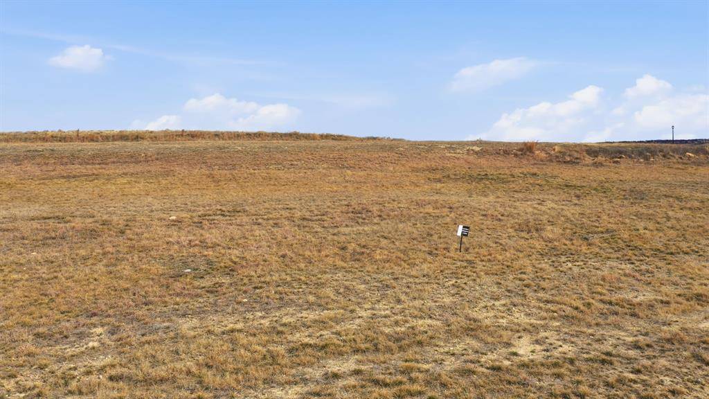 3004 Palermo Drive, Brock, TX 76087