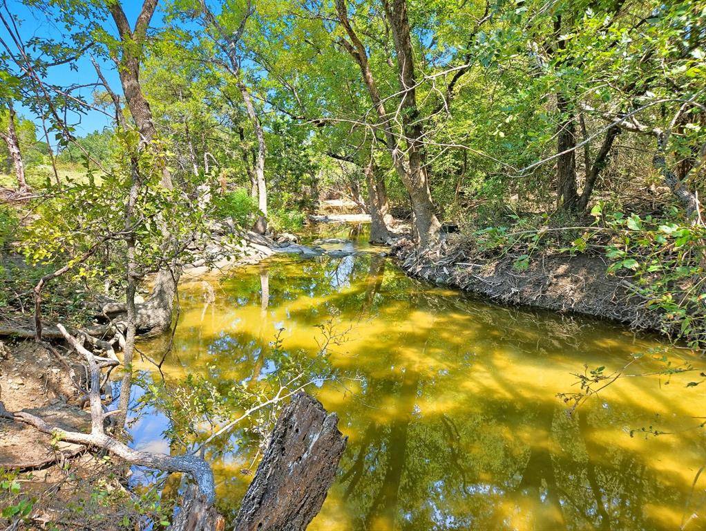 TBD-196.5 acres FM 116 Road, Gatesville, TX 76528