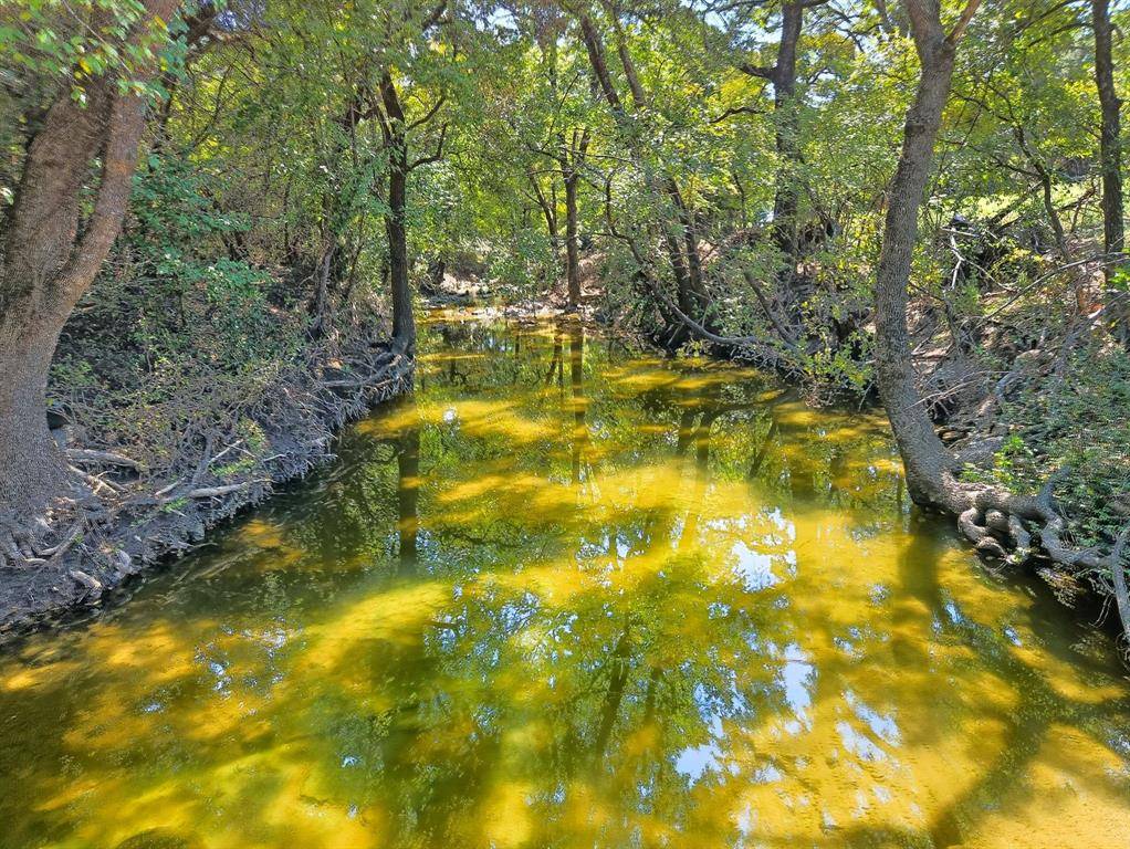 TBD-196.5 acres FM 116 Road, Gatesville, TX 76528
