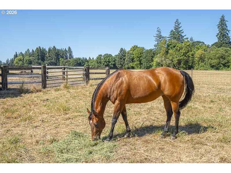 33844 SE WHITE OAK RD, Corvallis, OR 97333