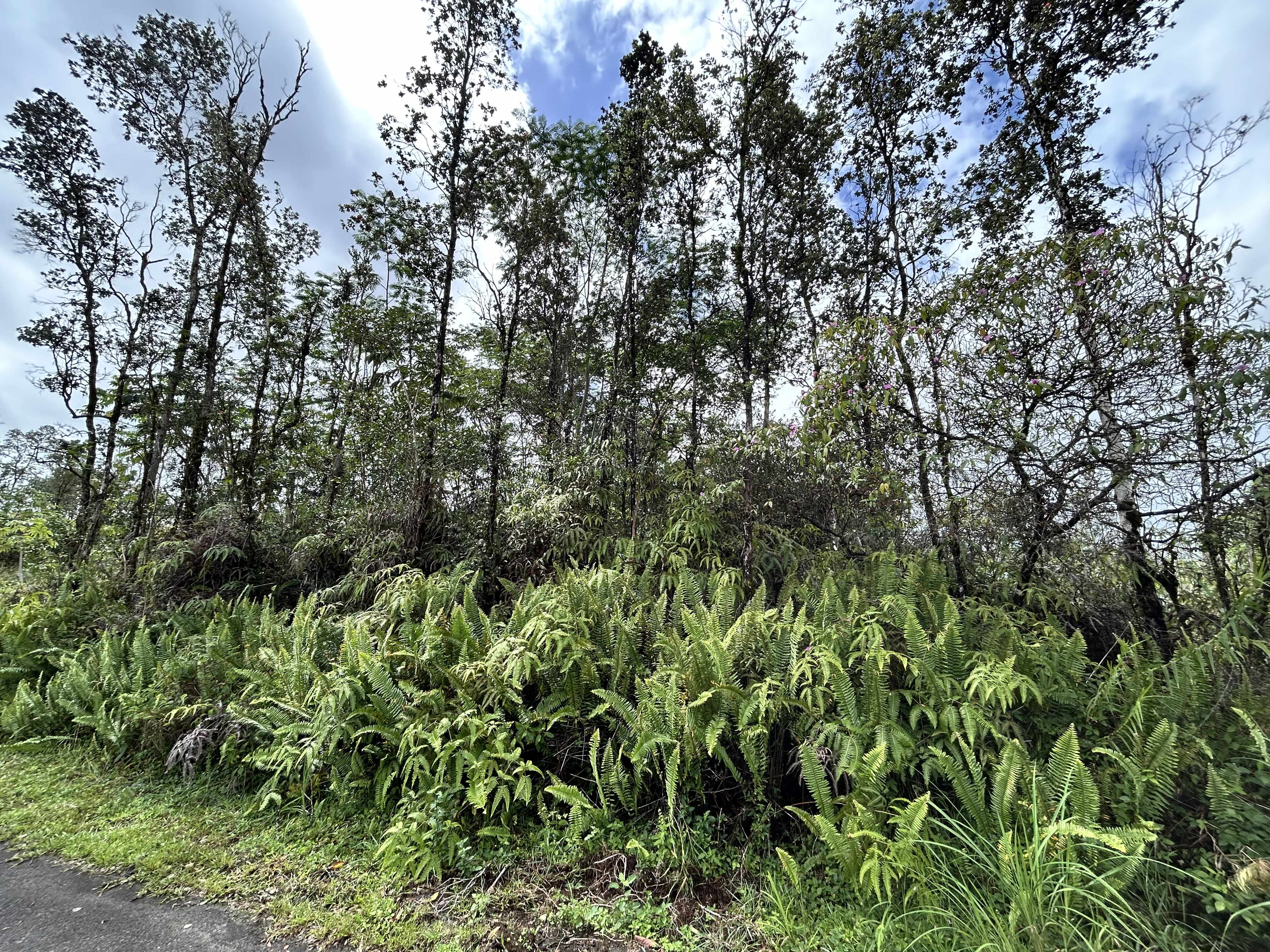 ALOHA CT, Kurtistown, HI 96760