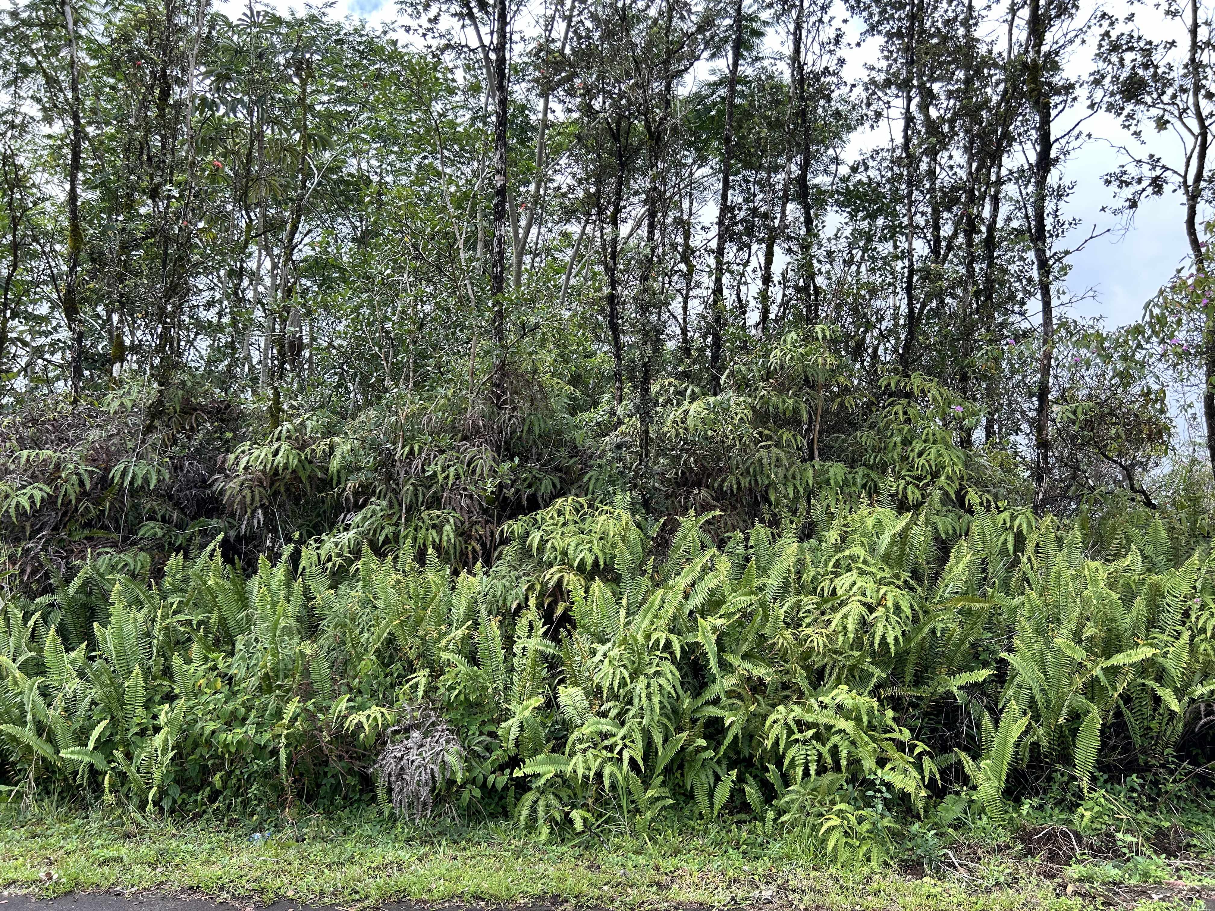 ALOHA CT, Kurtistown, HI 96760
