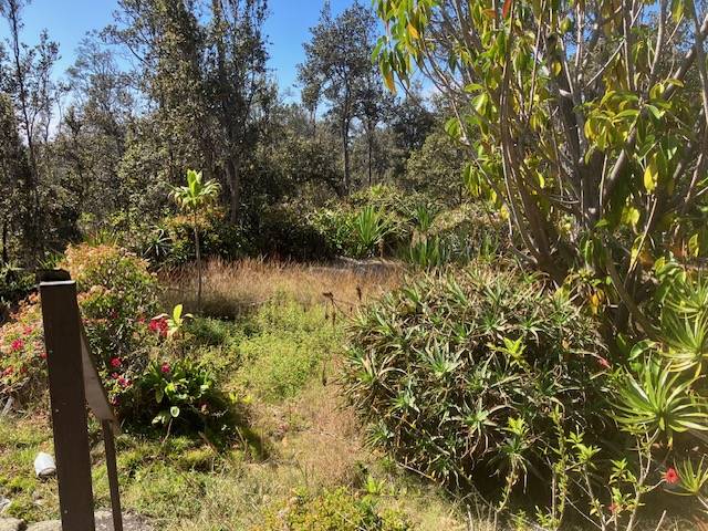 92-8884 KOA LN, Ocean View, HI 96737