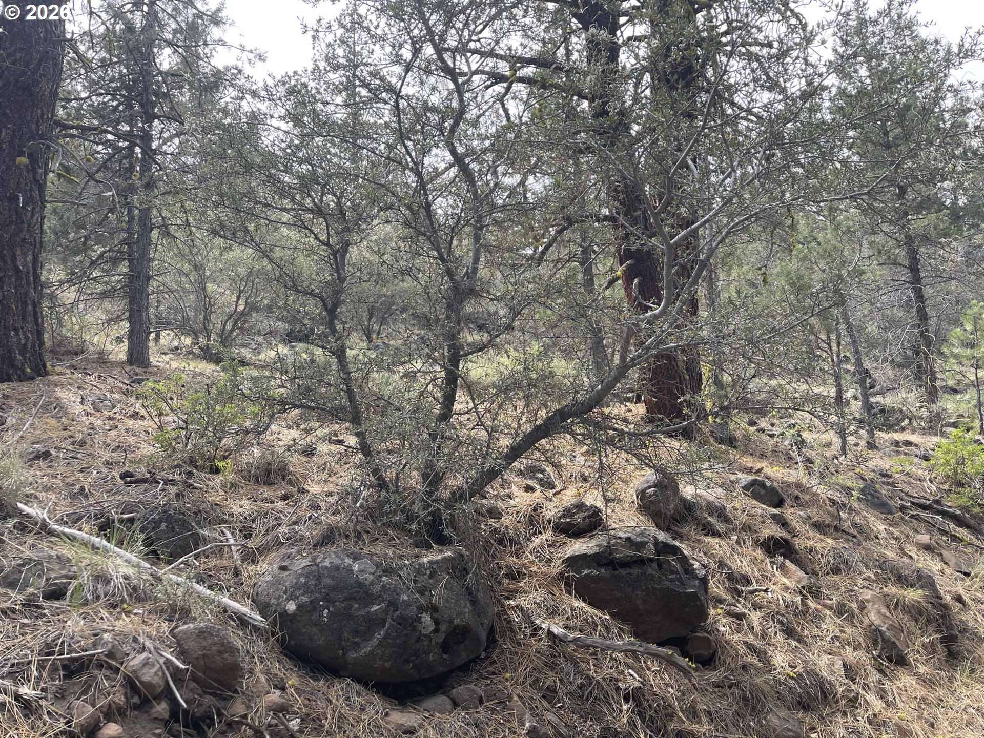 Lakeview HWY 140 #1200, Lakeview, OR 97630