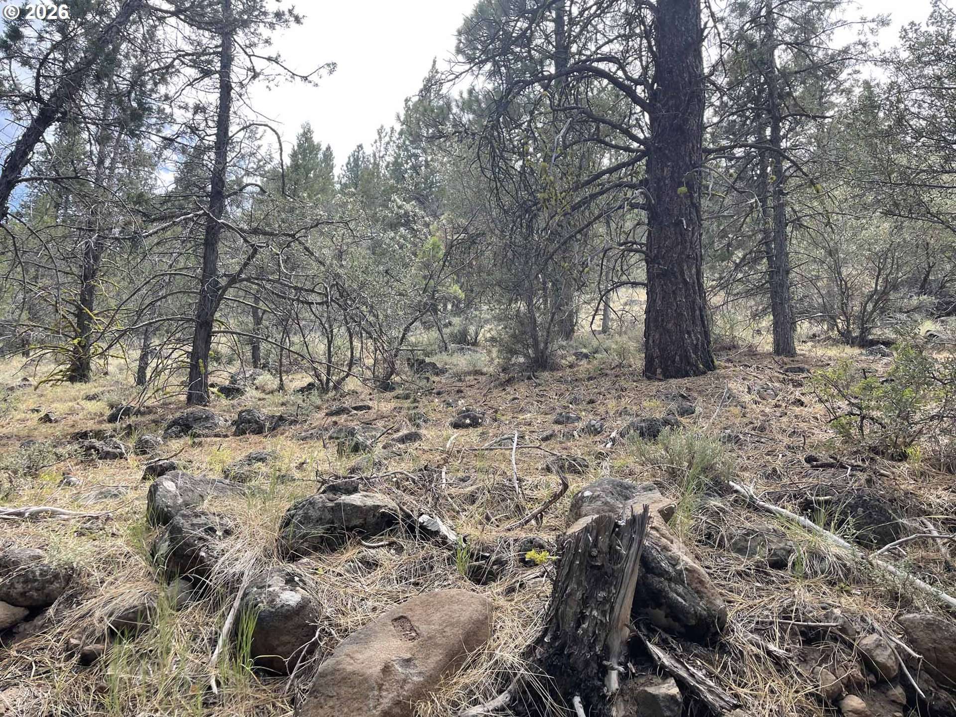 Lakeview HWY 140 #1200, Lakeview, OR 97630