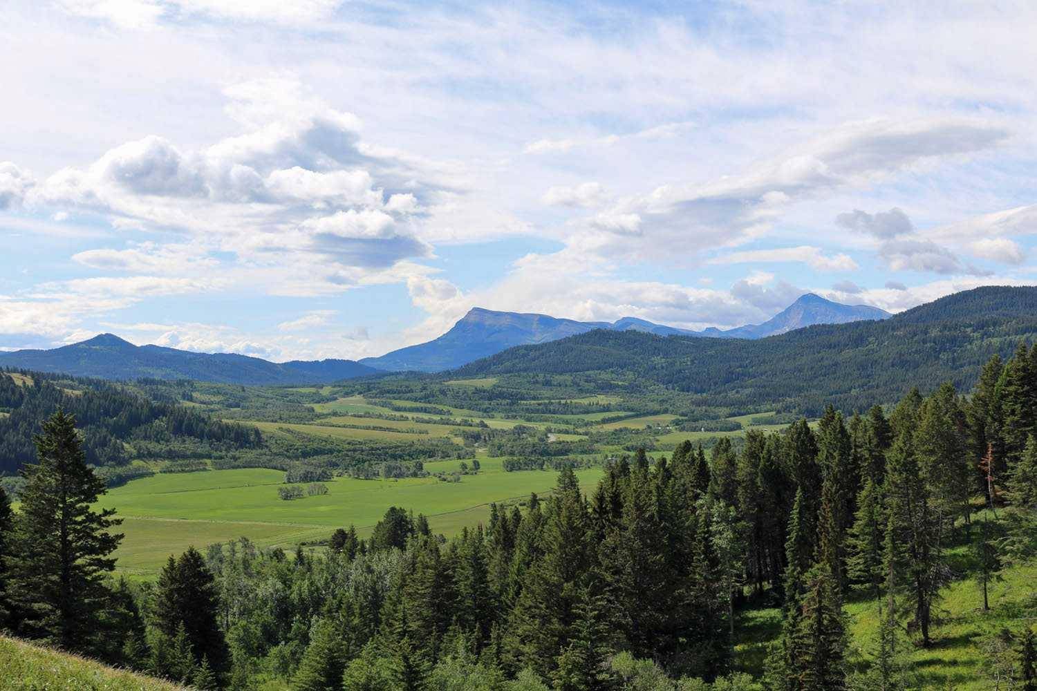 none Hwy 774, Beaver Mines, AB T0K 1W0