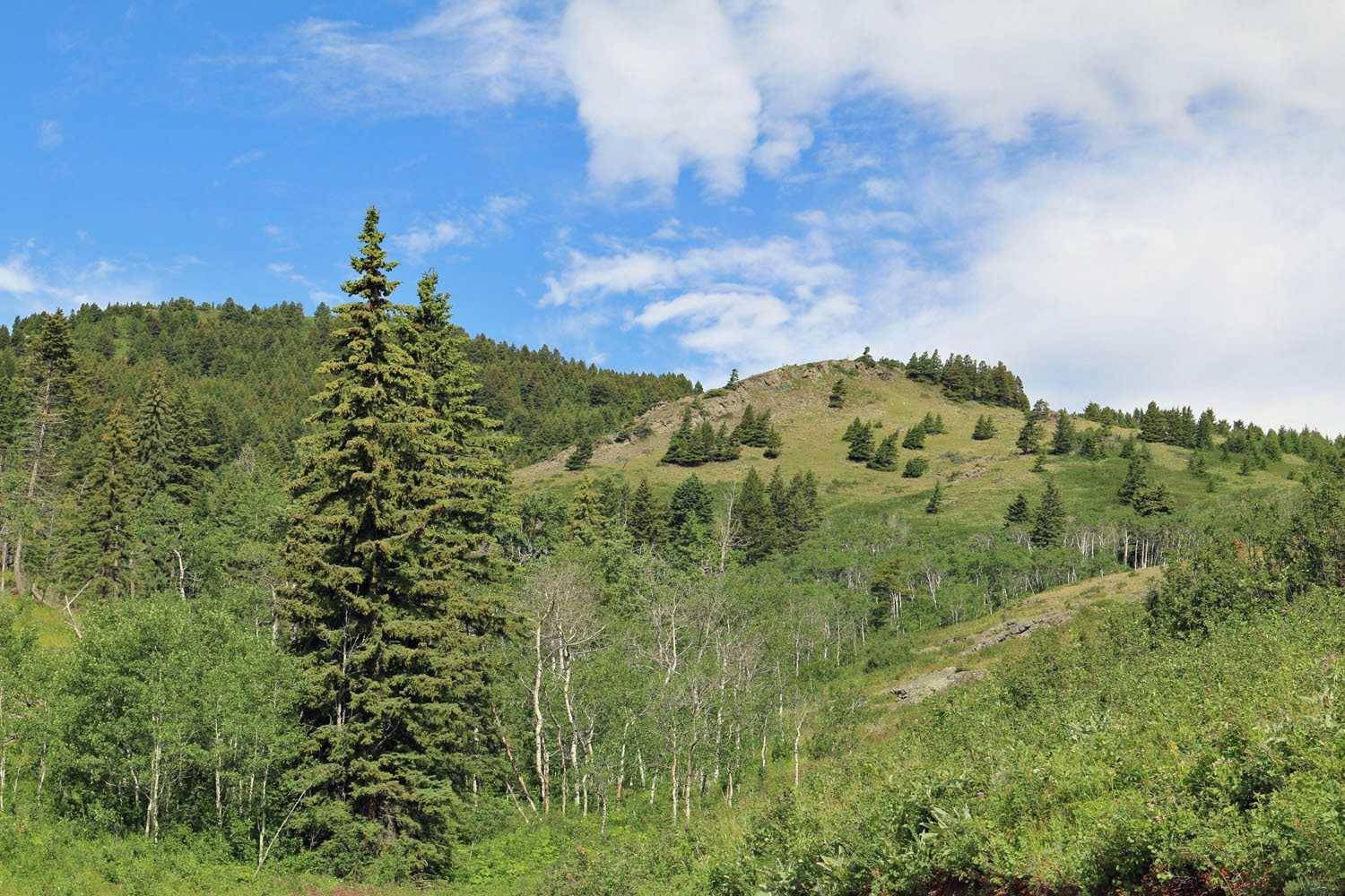 none Hwy 774, Beaver Mines, AB T0K 1W0