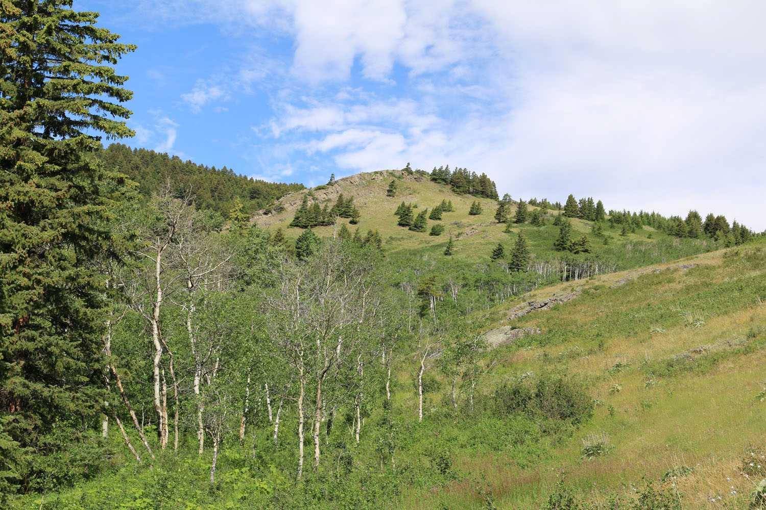 none Hwy 774, Beaver Mines, AB T0K 1W0