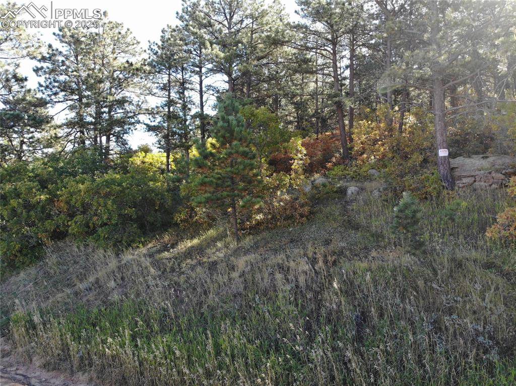 Oakdale TER, Palmer Lake, CO 80133
