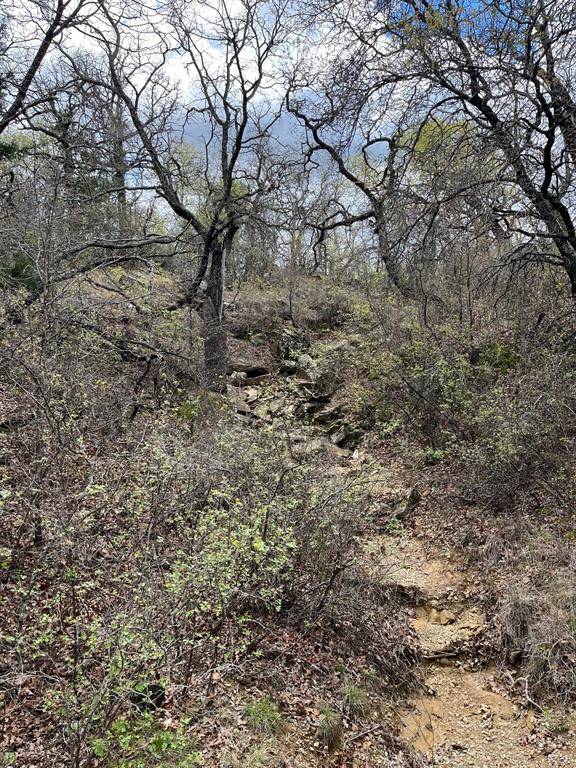 West 17 ac Burwick Road, Jacksboro, TX 76458