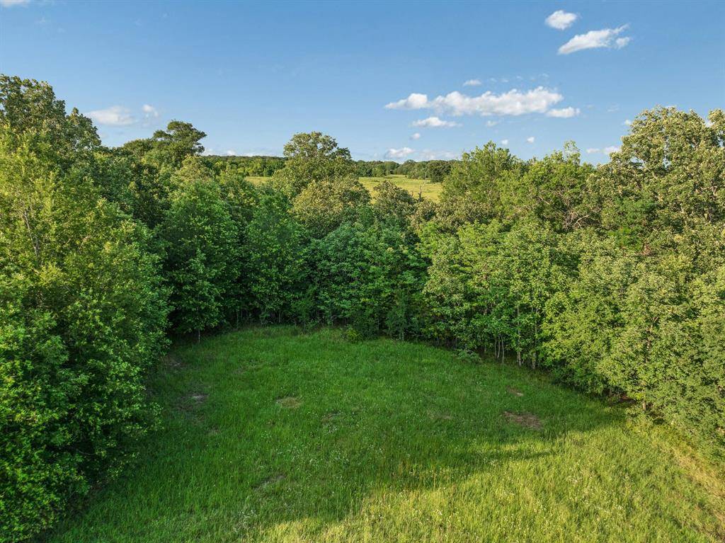 16918 FR 410 S Road, Cunningham, TX 75434