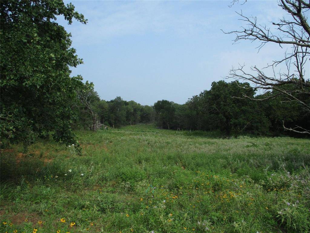 TR 1 Hoffman Road, Loving, TX 76460