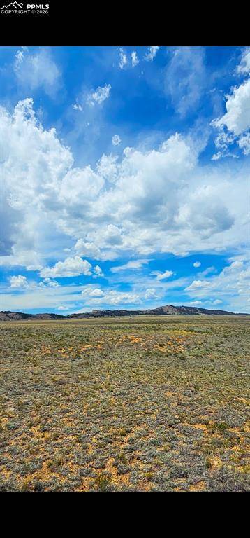 671 S Muley Gulch DR, Hartsel, CO 80449