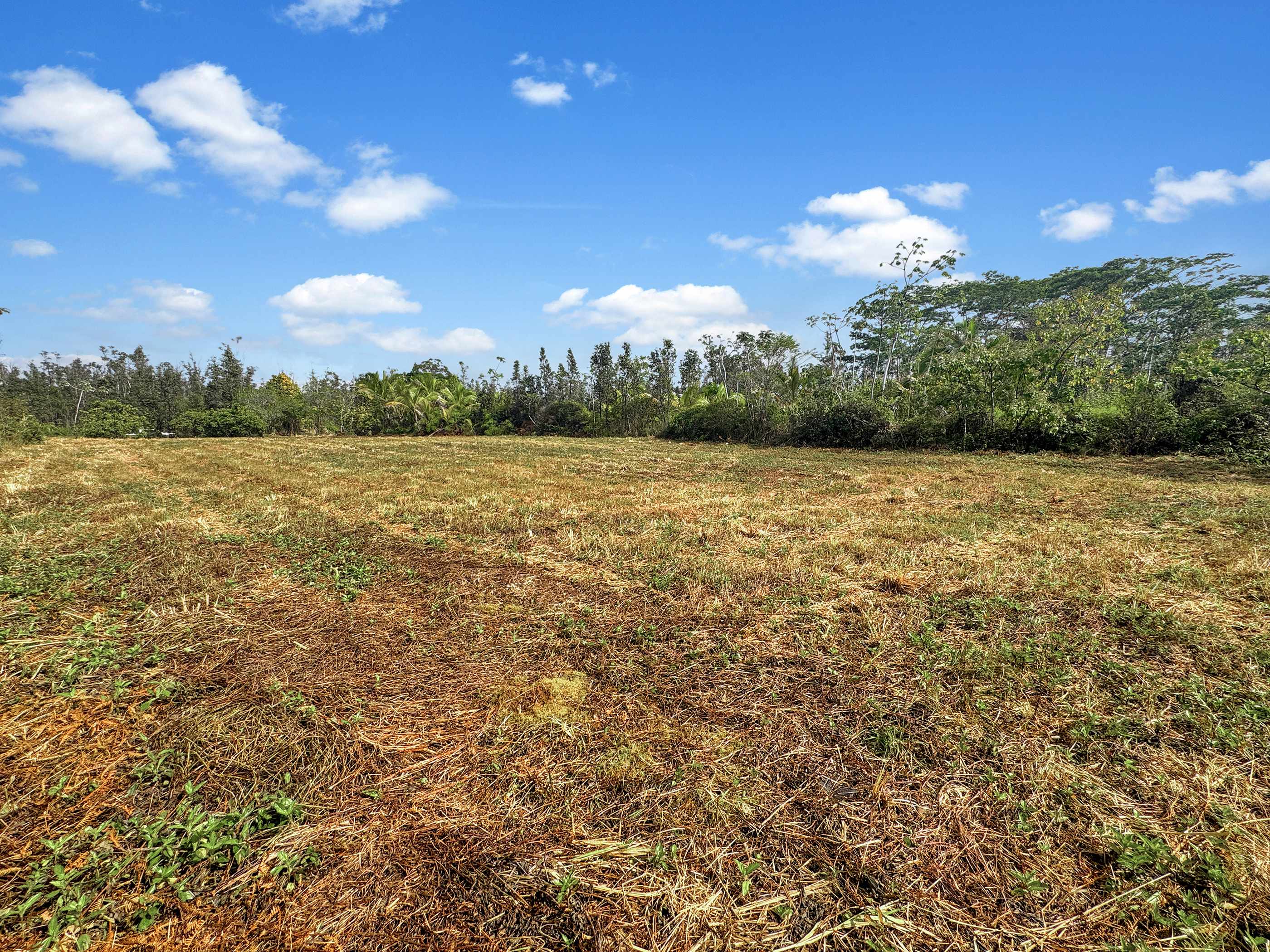 38TH AVE, Kurtistown, HI 96760