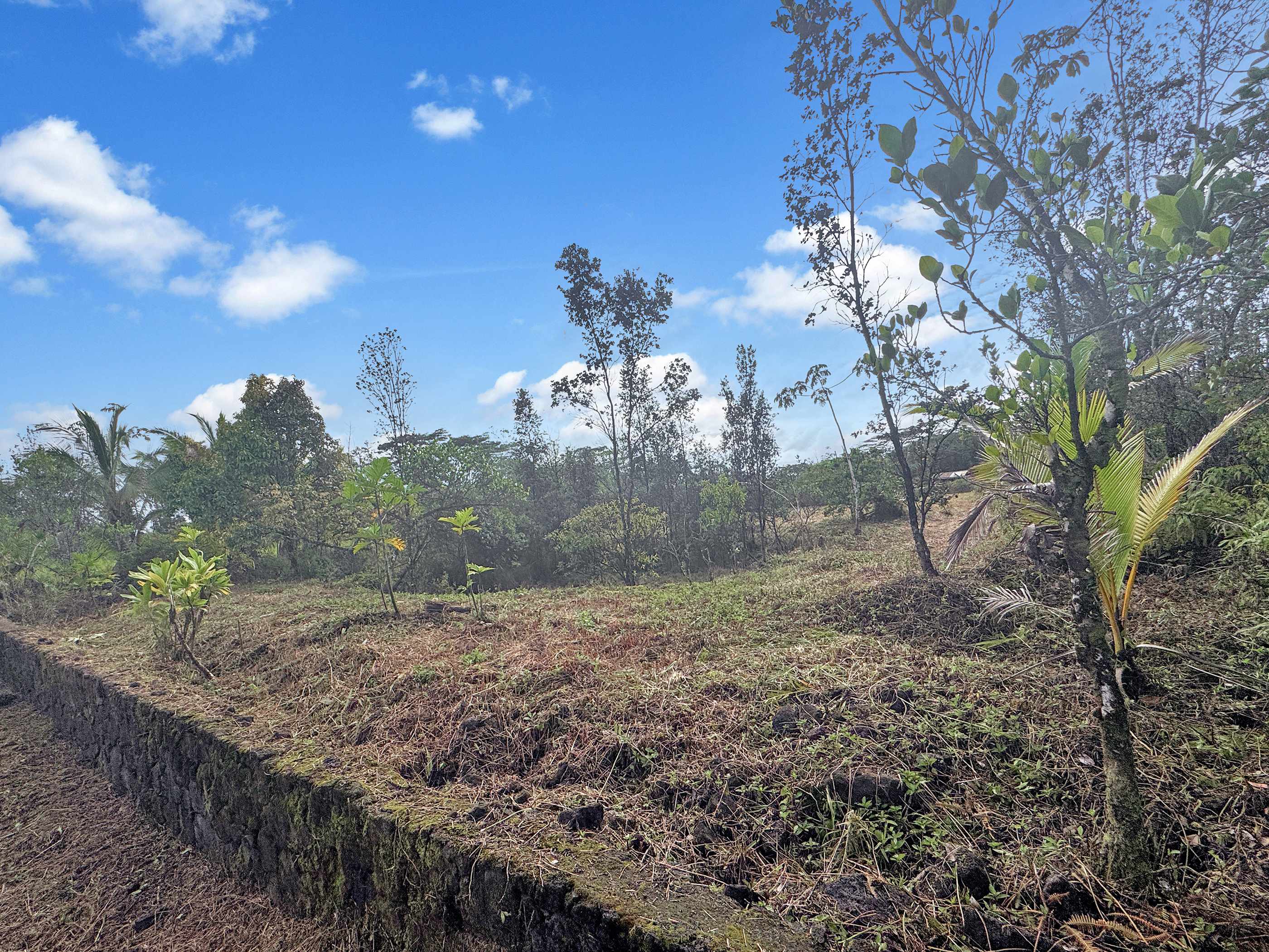 38TH AVE, Kurtistown, HI 96760