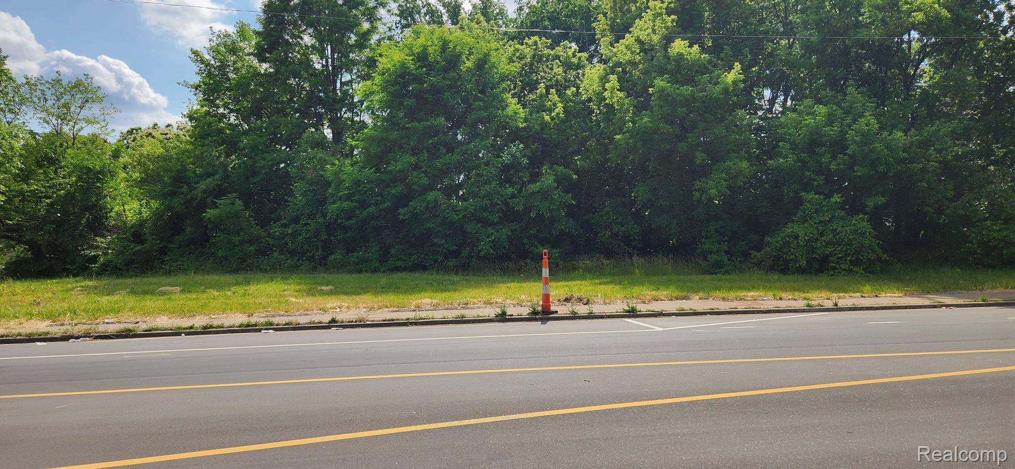 2705 MOUNT ELLIOTT ST, Detroit, MI 48207