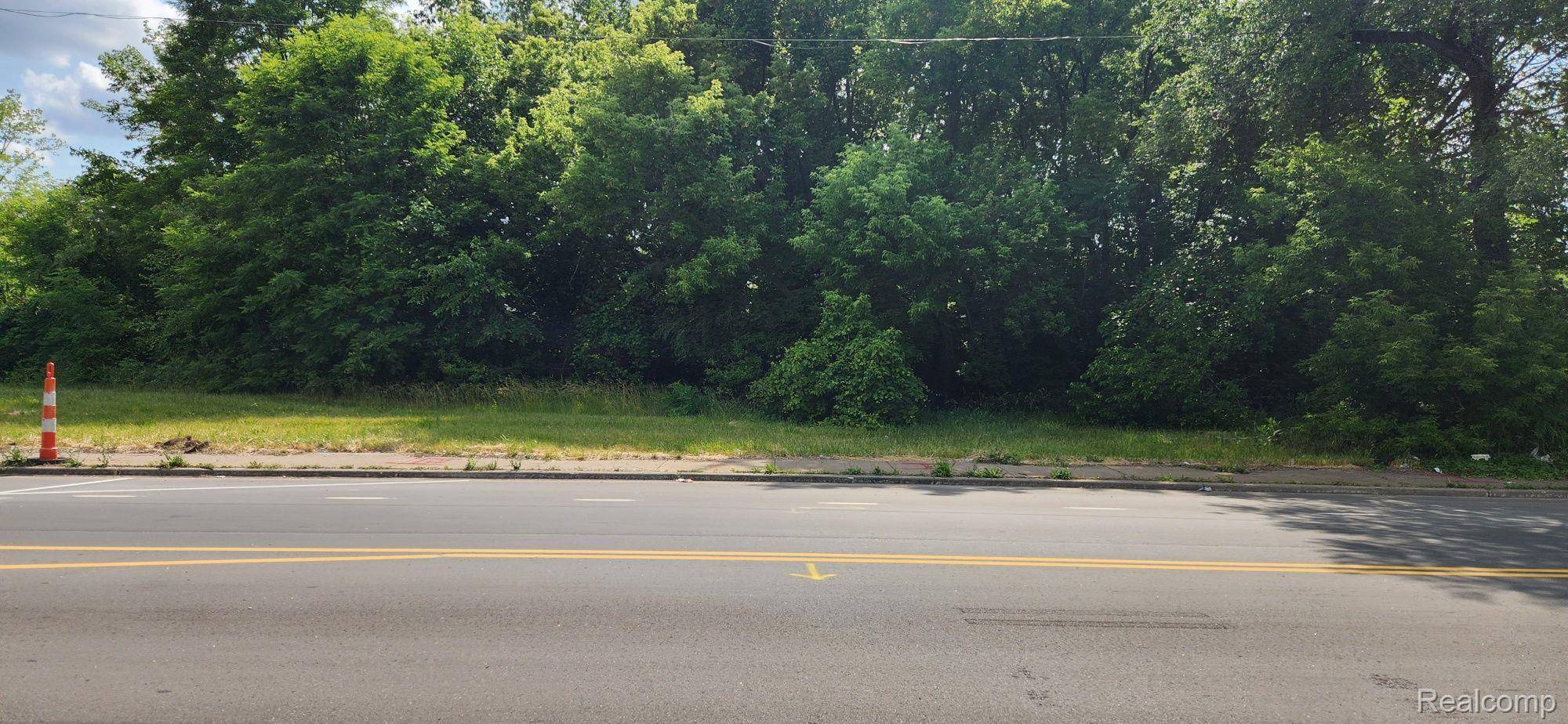 2705 MOUNT ELLIOTT ST, Detroit, MI 48207