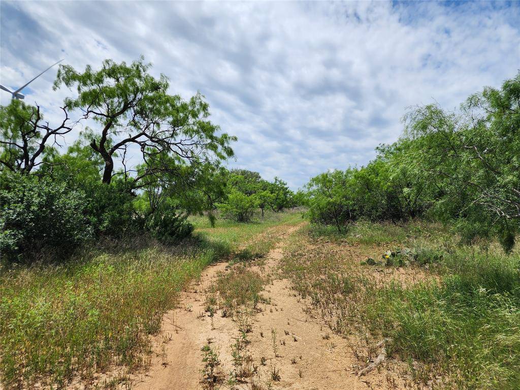 TBD County Road 125, Cisco, TX 76437