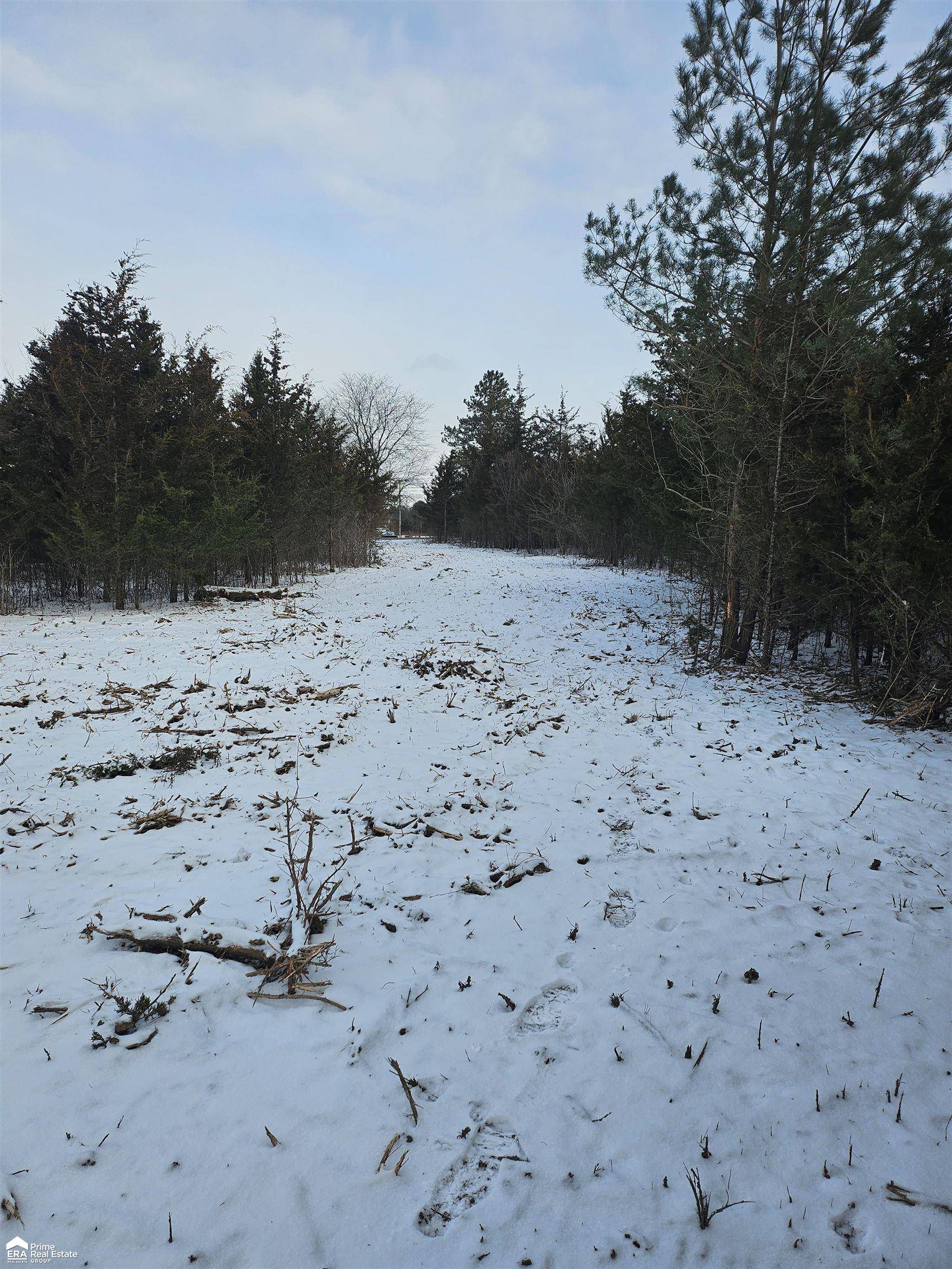 5455 Kelly RD, Mt Morris Twp, MI 48504