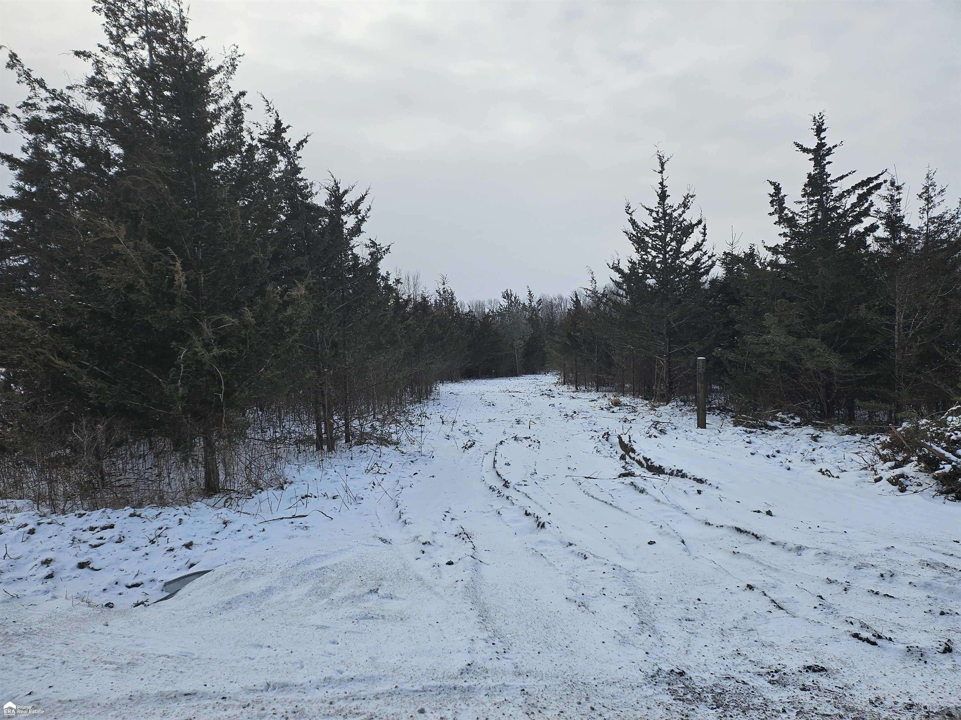 5455 Kelly RD, Mt Morris Twp, MI 48504