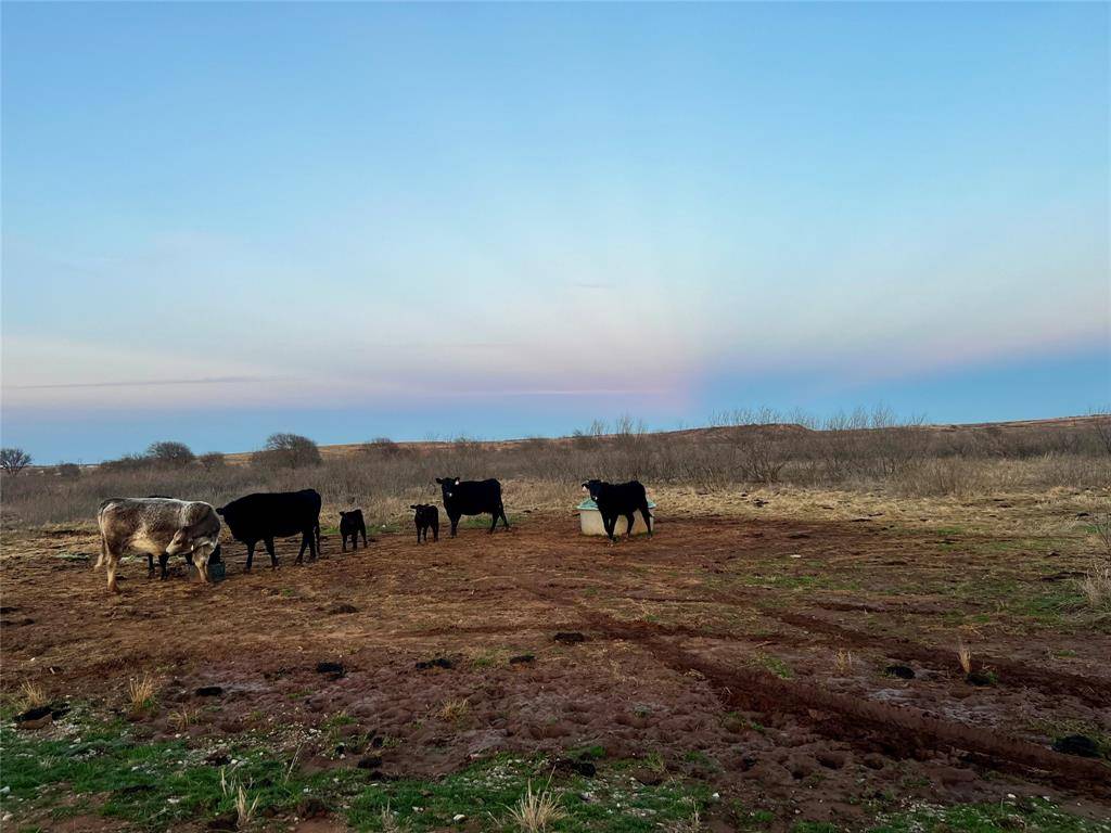 Lot 32 High Plains Trail, Bellevue, TX 76228