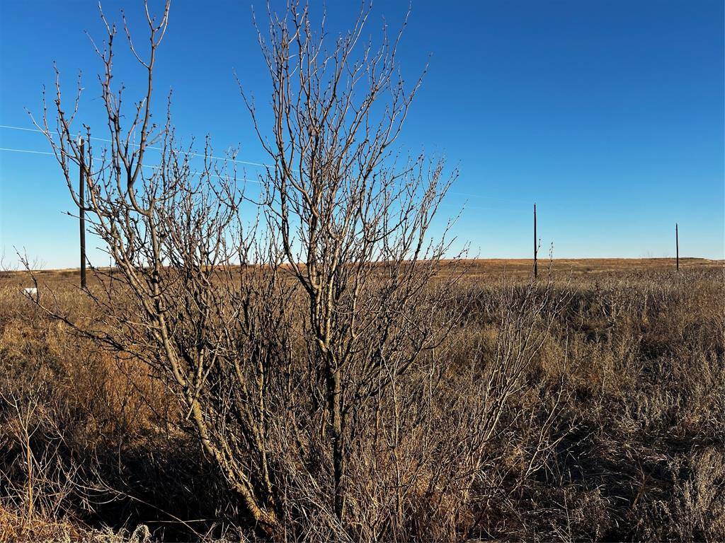 Lot 32 High Plains Trail, Bellevue, TX 76228