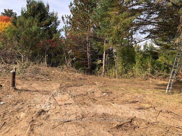 1380 Westport RD, Frontenac, ON K0H 1T0