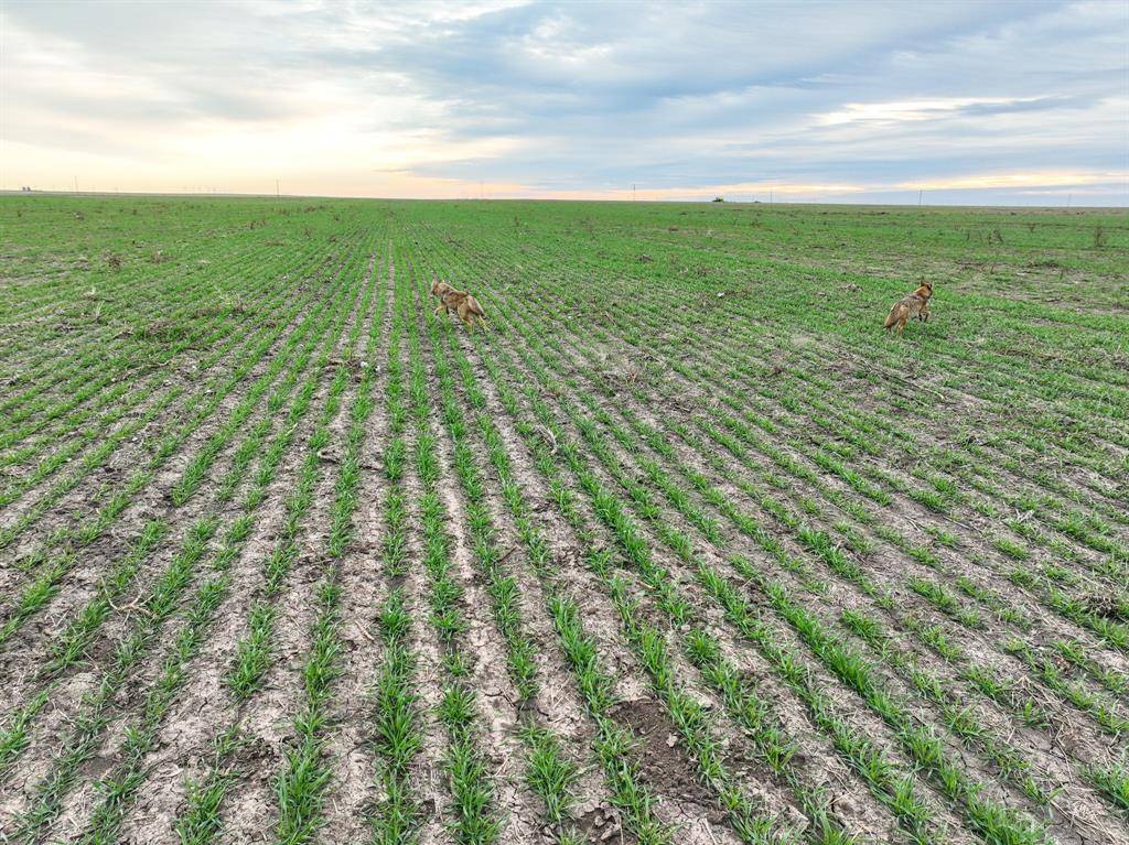 1 County Road 119, Haskell, TX 79521