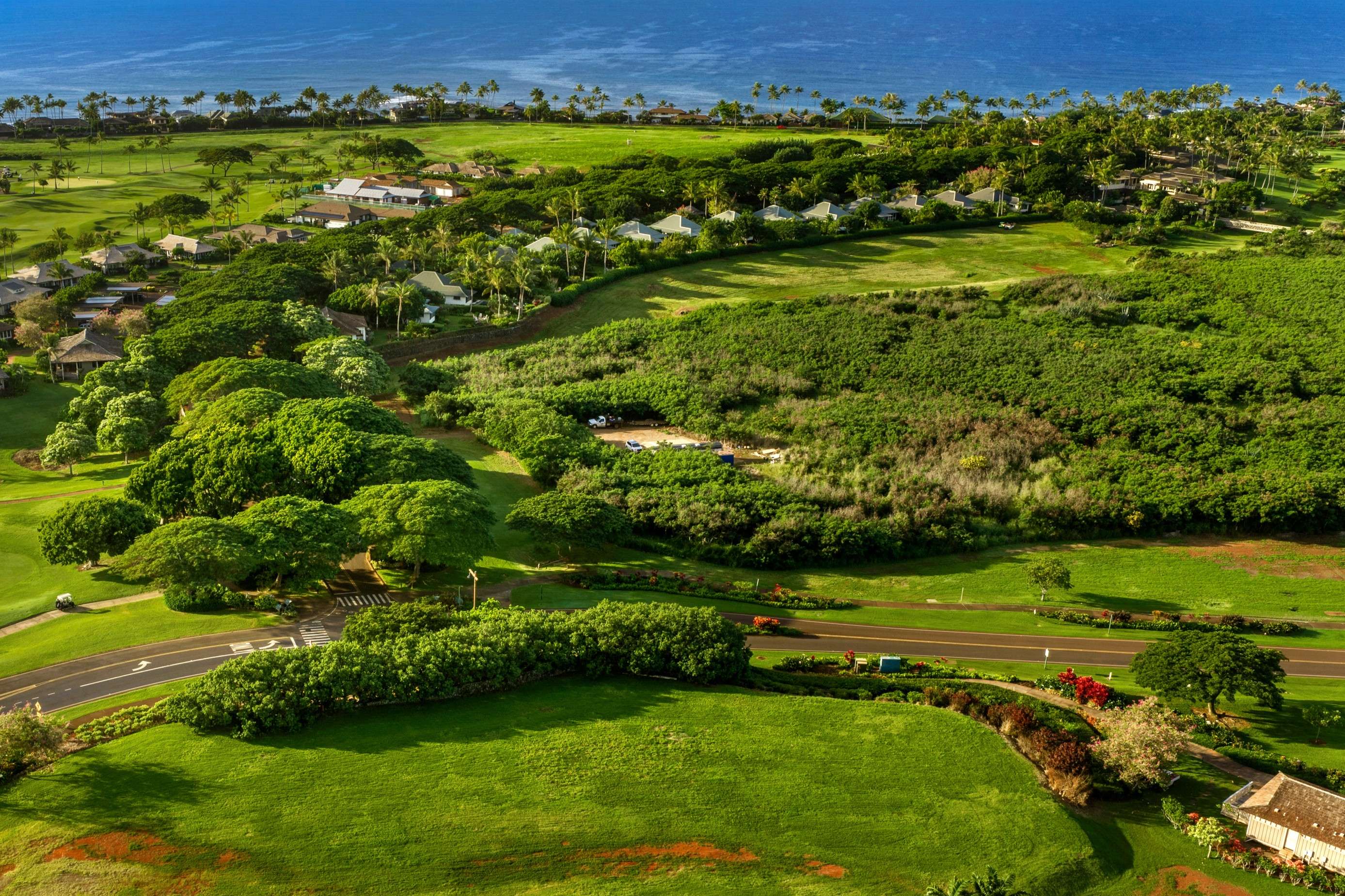 KAHALAWAI ST, Koloa, HI 96756