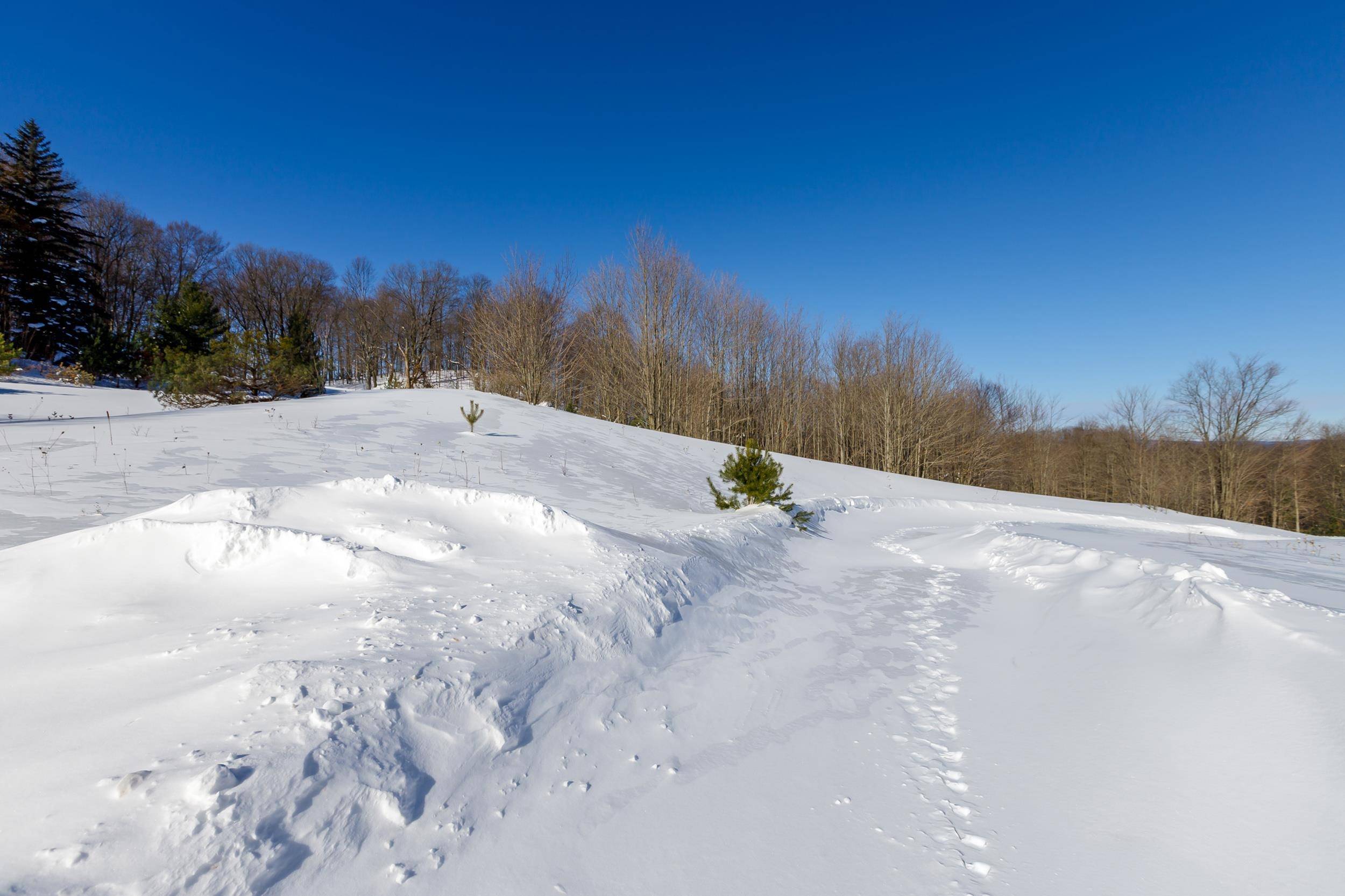 3100 Warren RD, Benzonia Twp, MI 49617