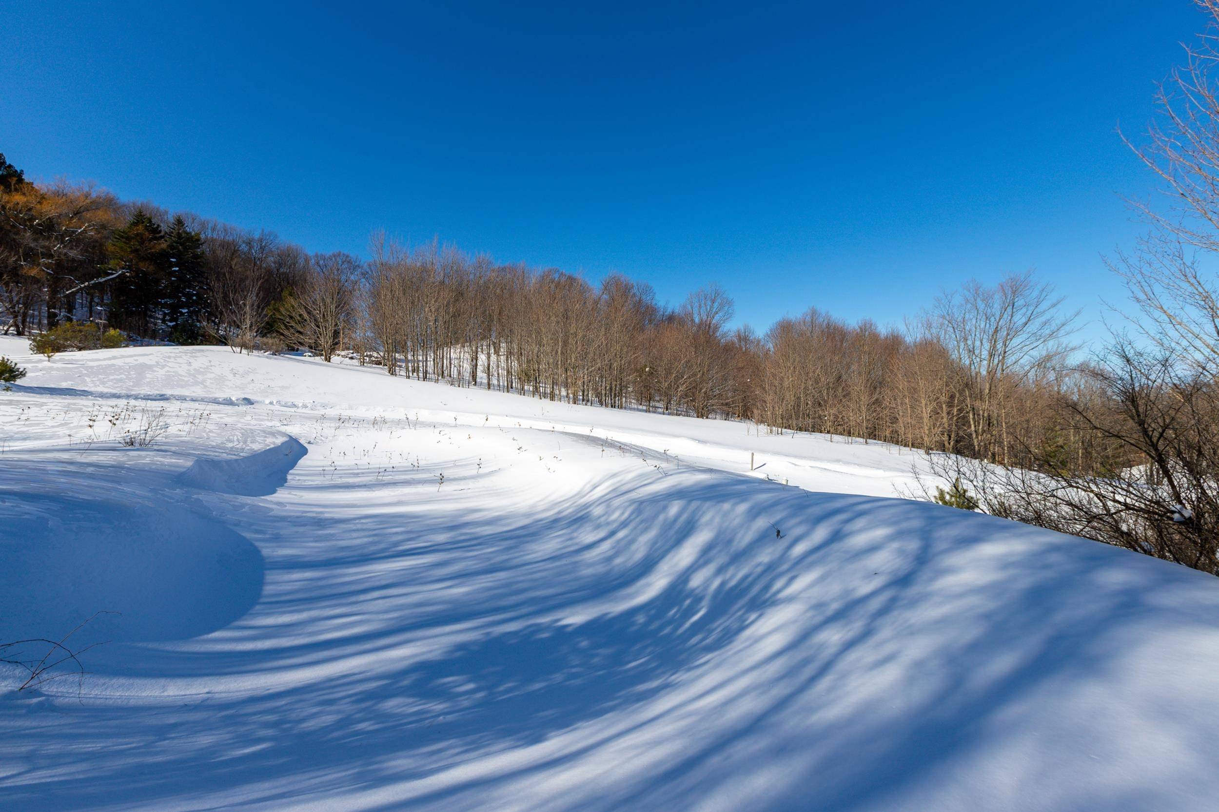 3100 Warren RD, Benzonia Twp, MI 49617