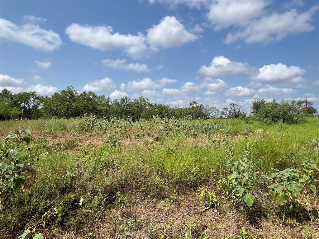 TBD FM 614, Ovalo, TX 79541
