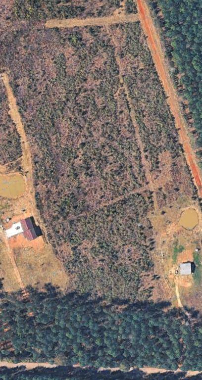 2590 Bodcau Dam Road, Benton, LA 71006