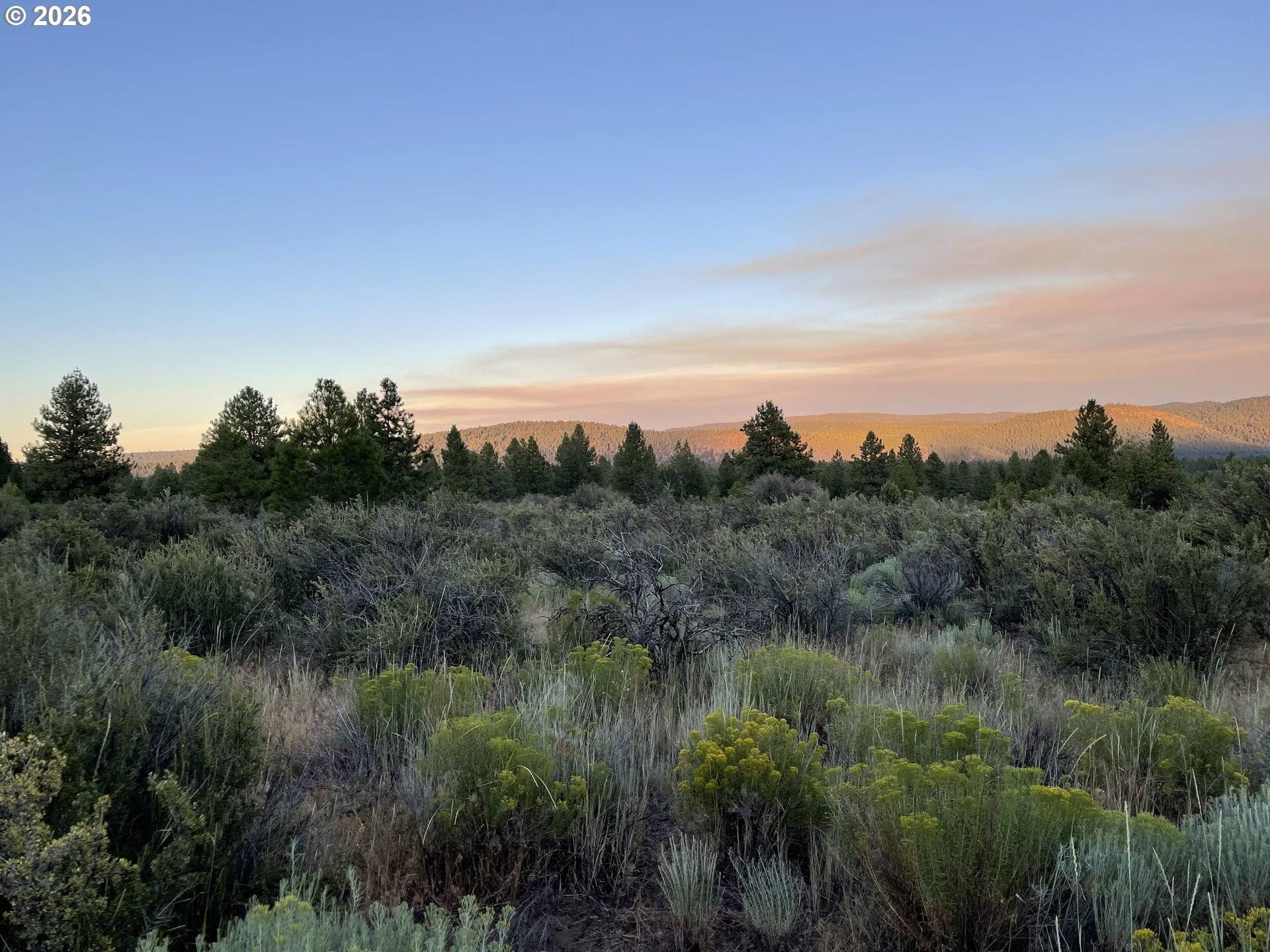 David Street #1, Chiloquin, OR 97624