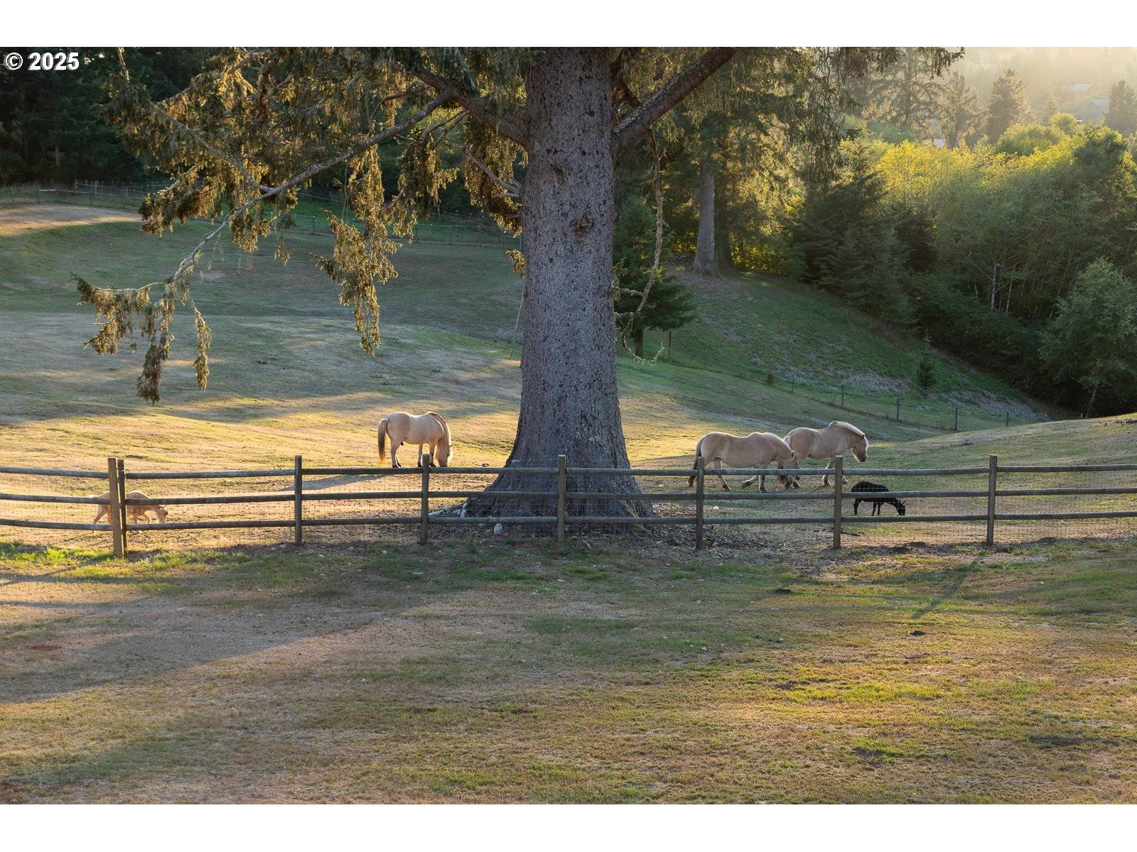 6905 NE HIGHLAND RD, Otis, OR 97368