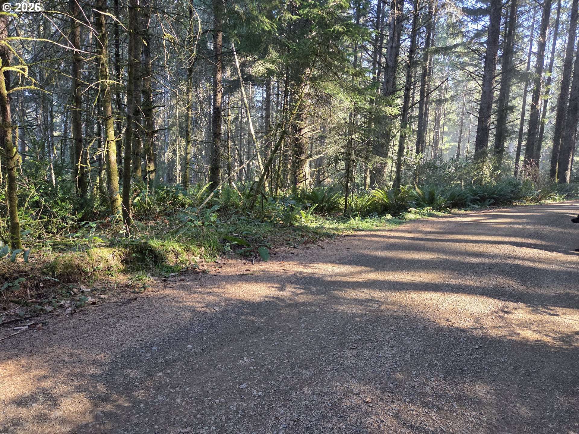 Greggs Creek RD #300, Gold Beach, OR 97444