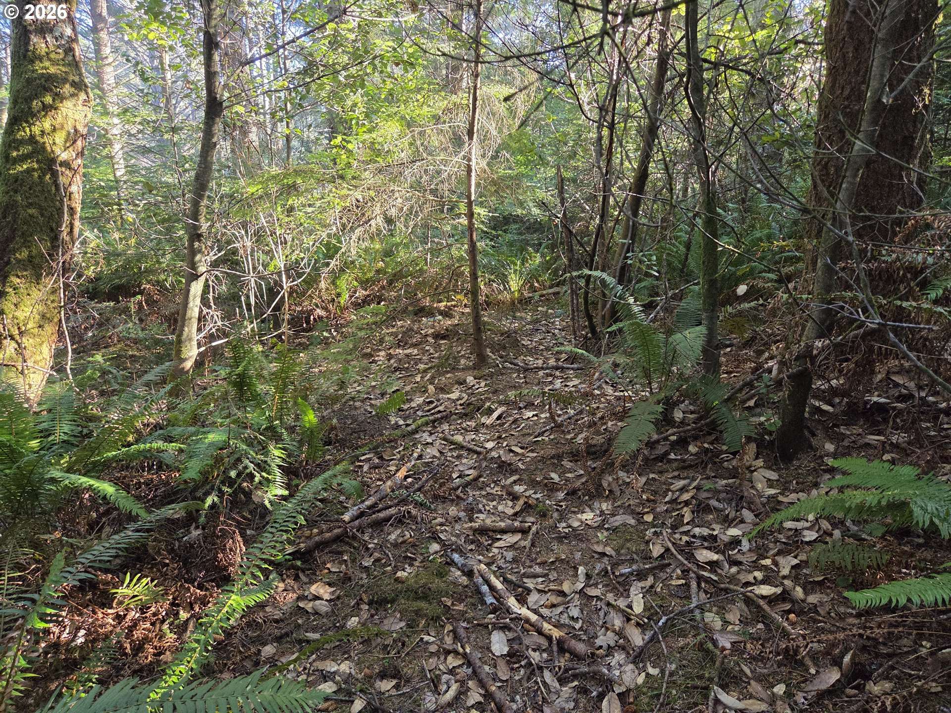 Greggs Creek RD #300, Gold Beach, OR 97444