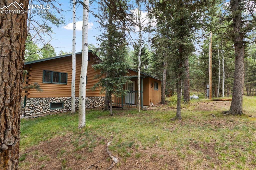 56 Blue Jay LN, Divide, CO 80814