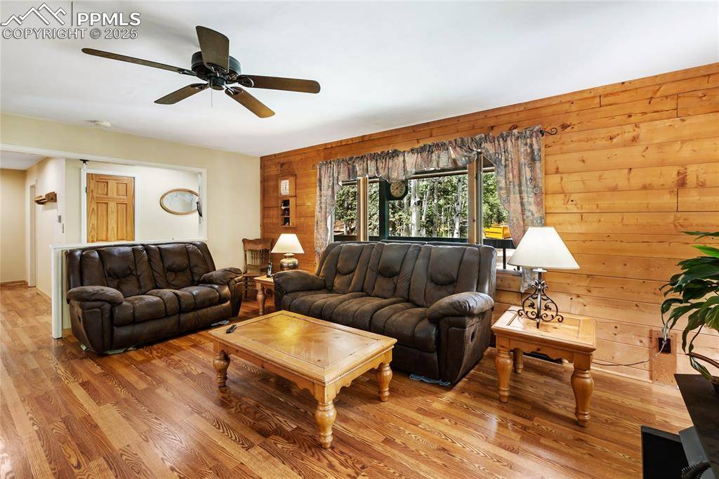 56 Blue Jay LN, Divide, CO 80814