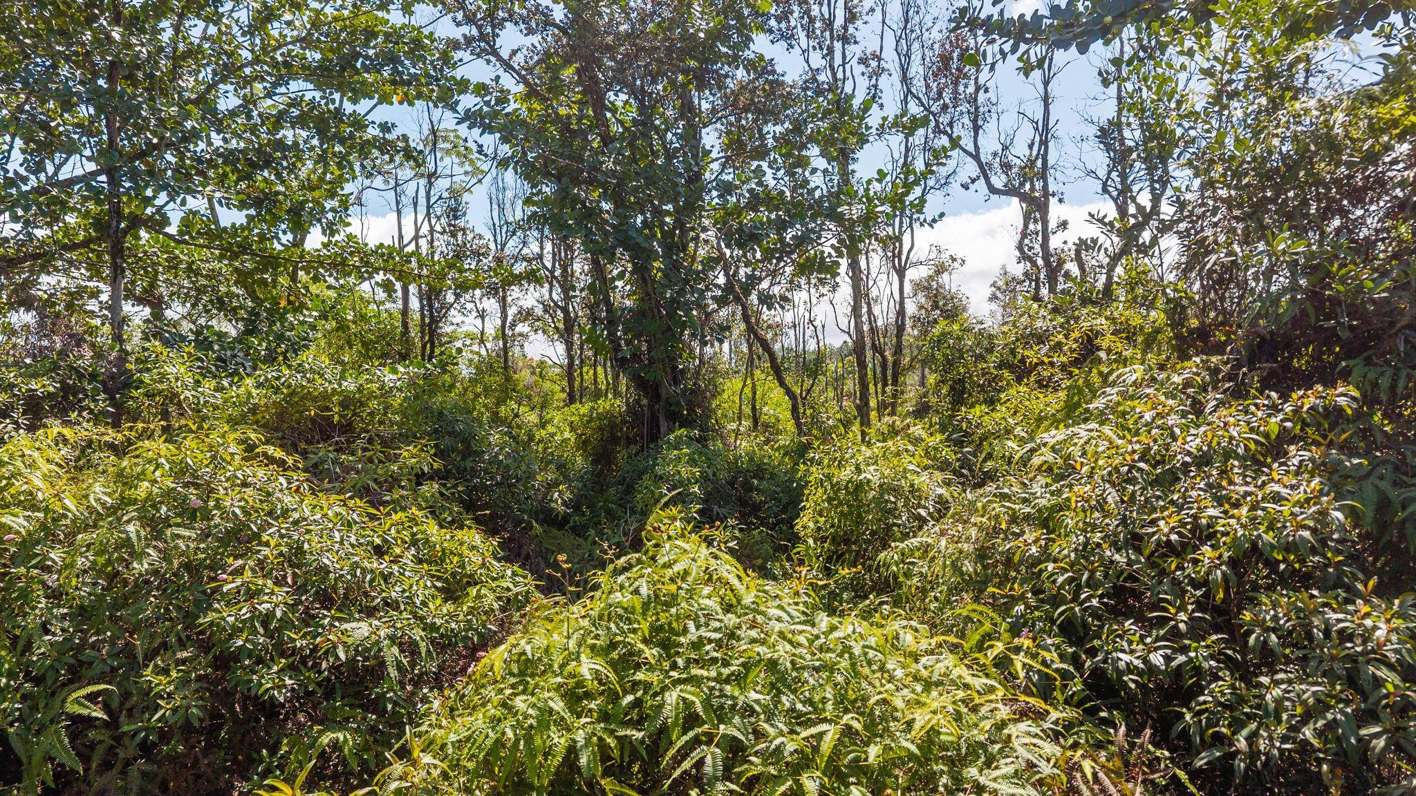 LOKE RD, Keaau, HI 96749