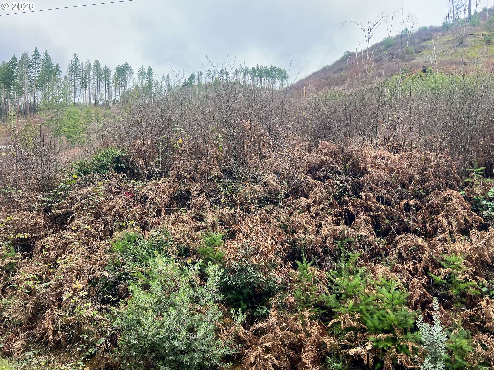 0 EVERGREEN LN, Idleyld Park, OR 97447