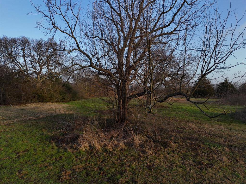 214 Hwy 34, Ladonia, TX 75449