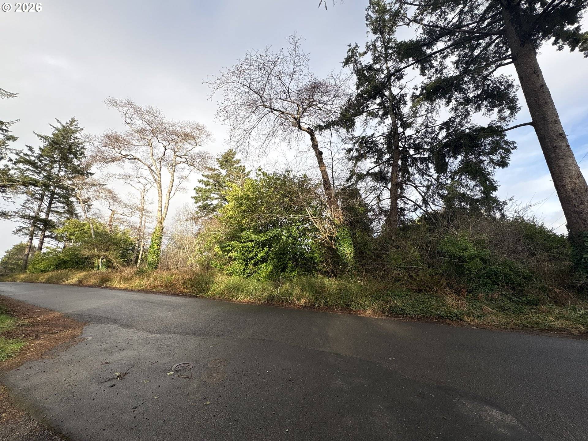 25502 PARK AVE, Ocean Park, WA 98640