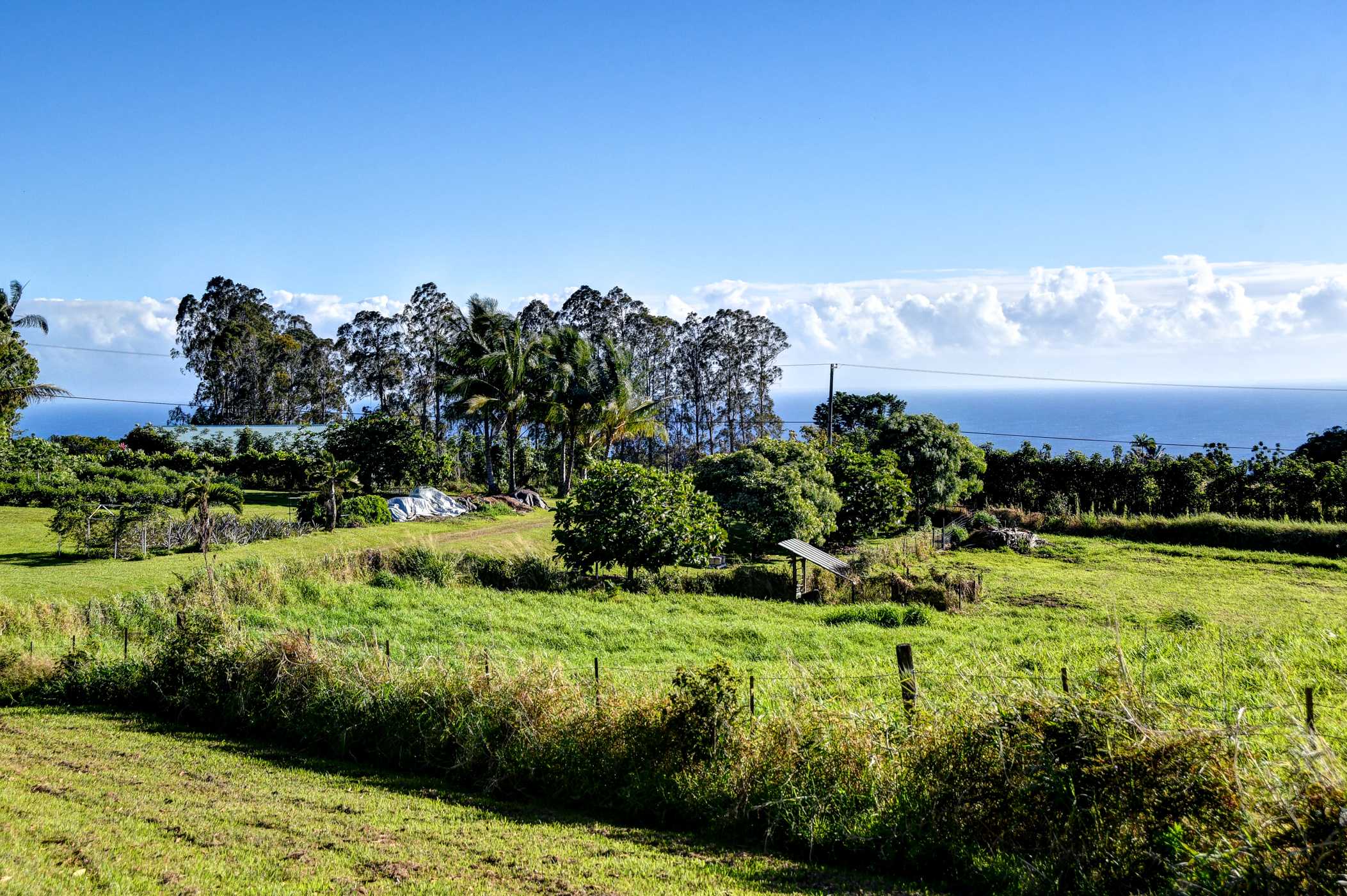 29-3871 KANNA RD, Hakalau, HI 96710