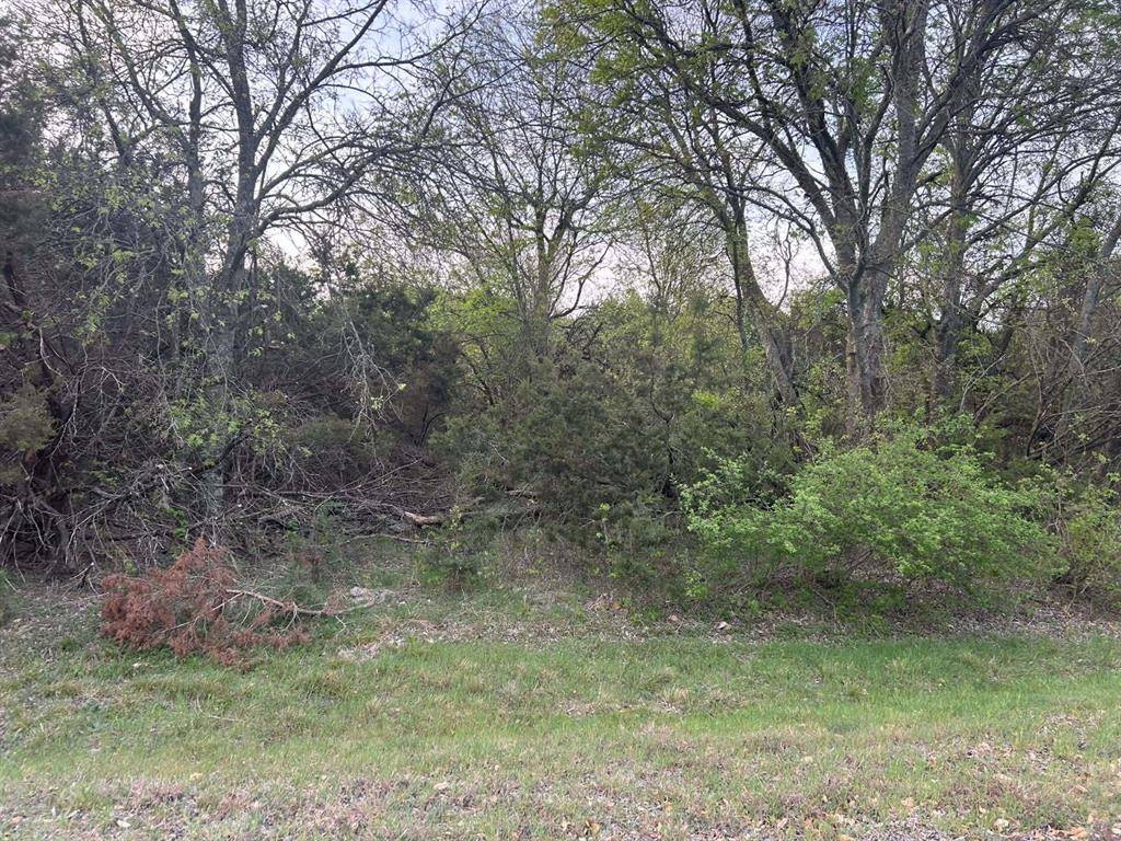 000 County Road 1525, Morgan, TX 76671