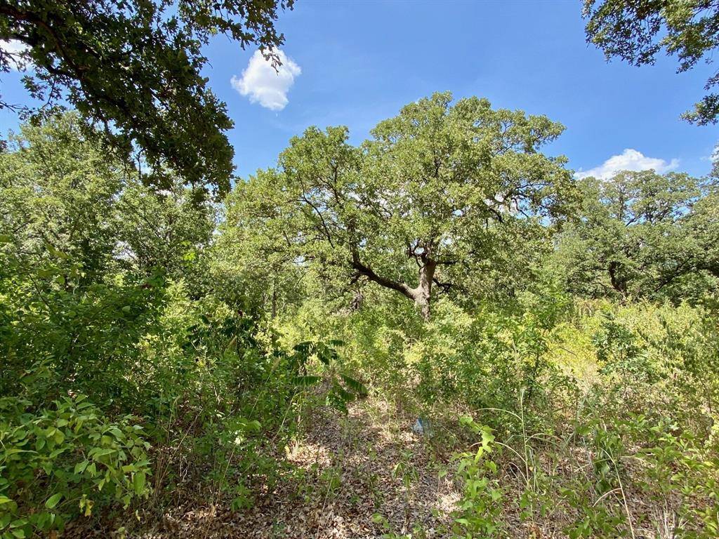 TBD Timber Creek, Stephenville, TX 76401