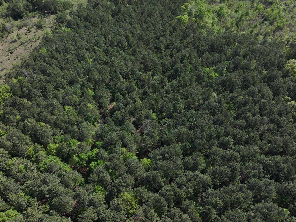 0 Highway 77 Lot 1 E, Atlanta, TX 75551