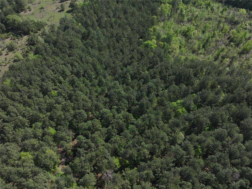 0 Highway 77 Lot 1 E, Atlanta, TX 75551