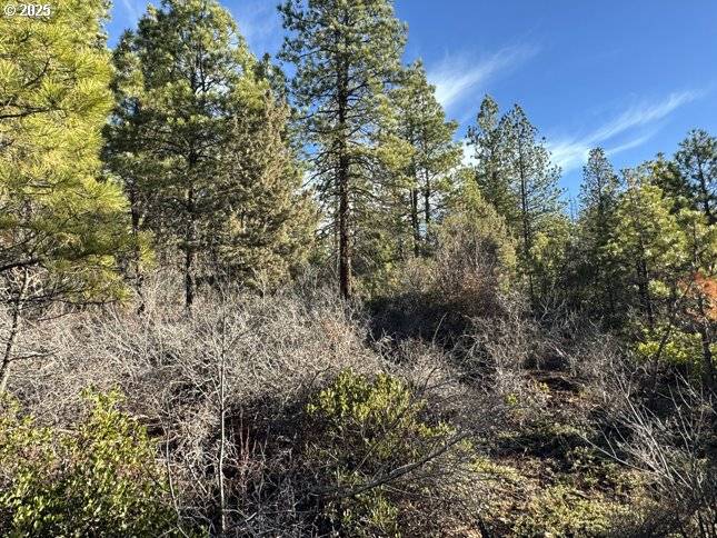 Hummingbird DR #13, Bonanza, OR 97623