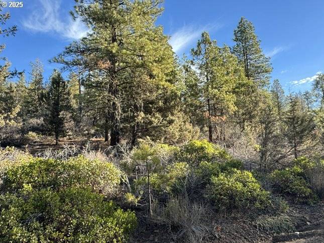 Hummingbird DR #13, Bonanza, OR 97623